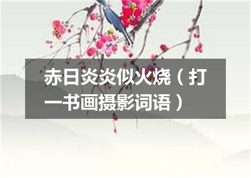 赤日炎炎似火烧（打一书画摄影词语）