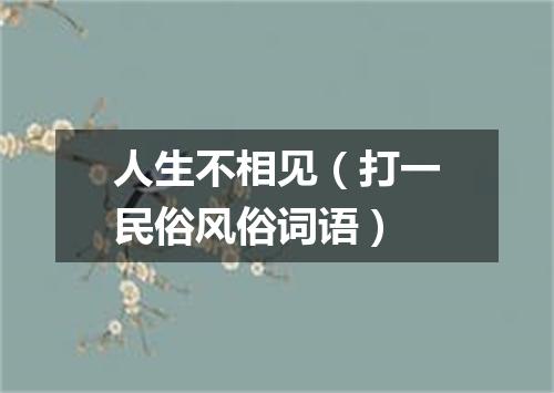 人生不相见（打一民俗风俗词语）