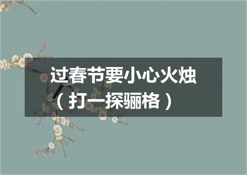过春节要小心火烛（打一探骊格）