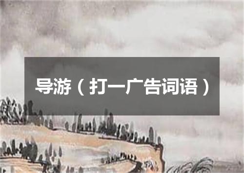 导游（打一广告词语）