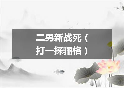 二男新战死（打一探骊格）