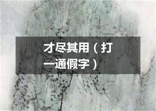 才尽其用（打一通假字）
