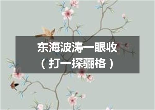 东海波涛一眼收（打一探骊格）
