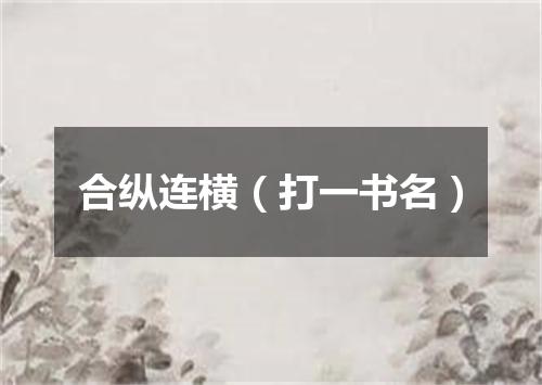 合纵连横（打一书名）
