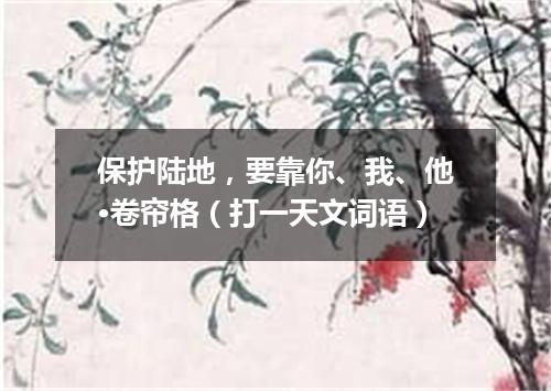 保护陆地，要靠你、我、他·卷帘格（打一天文词语）
