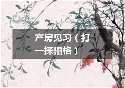 产房见习（打一探骊格）
