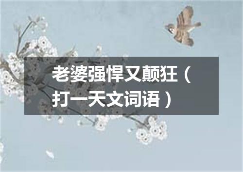 老婆强悍又颠狂（打一天文词语）