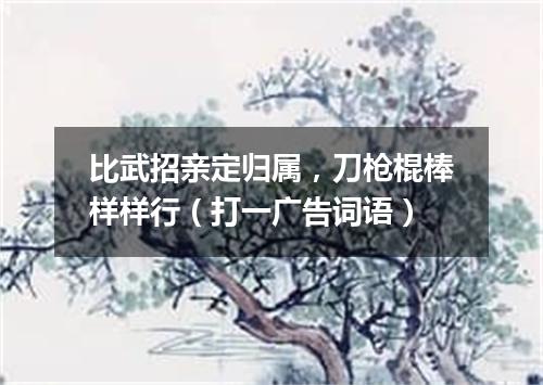 比武招亲定归属，刀枪棍棒样样行（打一广告词语）