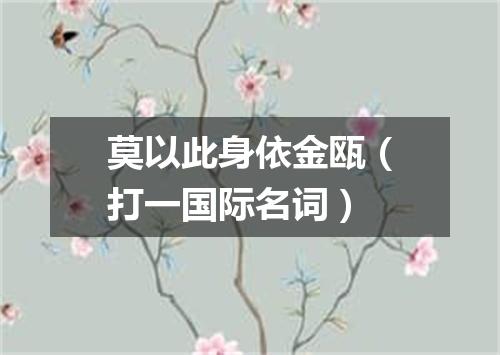 莫以此身依金瓯（打一国际名词）