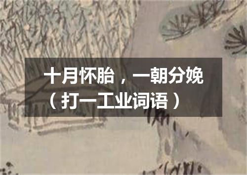 十月怀胎，一朝分娩（打一工业词语）