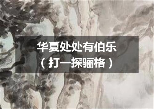 华夏处处有伯乐（打一探骊格）