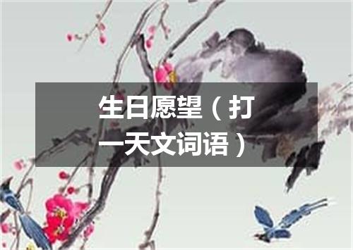 生日愿望（打一天文词语）