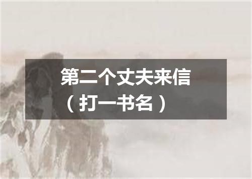 第二个丈夫来信（打一书名）