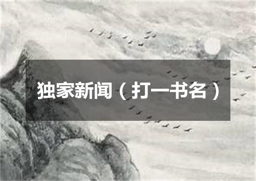 独家新闻（打一书名）