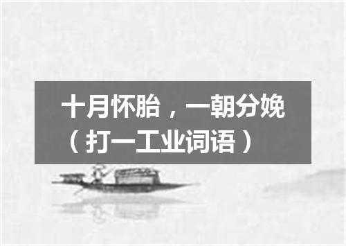 十月怀胎，一朝分娩（打一工业词语）