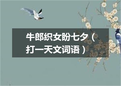 牛郎织女盼七夕（打一天文词语）
