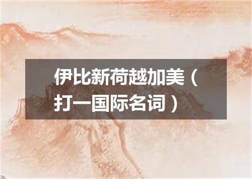 伊比新荷越加美（打一国际名词）