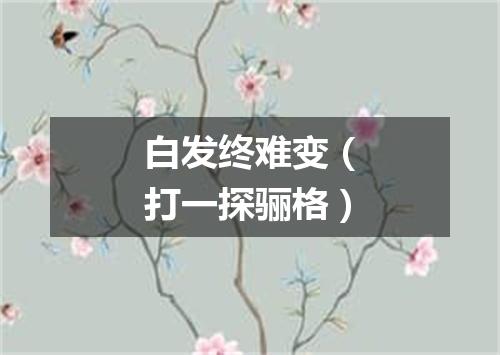 白发终难变（打一探骊格）
