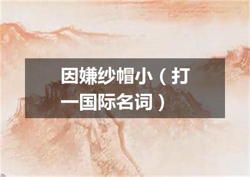 因嫌纱帽小（打一国际名词）