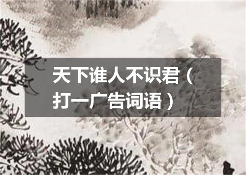 天下谁人不识君（打一广告词语）
