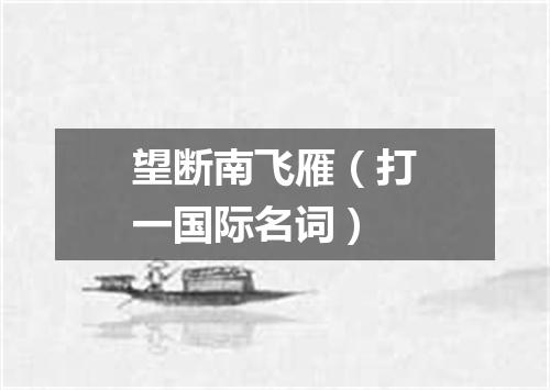 望断南飞雁（打一国际名词）