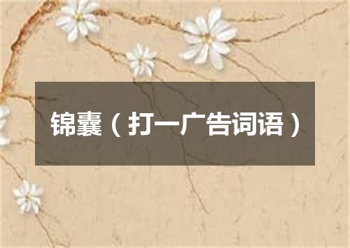 锦囊（打一广告词语）