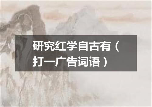 研究红学自古有（打一广告词语）